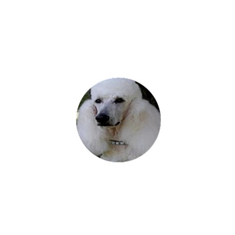 poodle 2 1  Mini Button from UrbanLoad.com Front