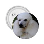 poodle 2 2.25  Button