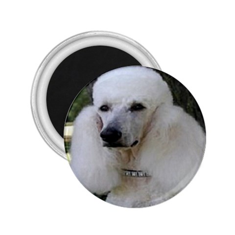 poodle 2 2.25  Magnet from UrbanLoad.com Front
