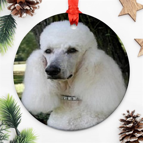 poodle 2 Ornament (Round) from UrbanLoad.com Front
