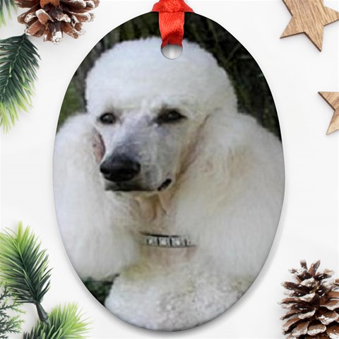 poodle 2 Ornament (Oval) from UrbanLoad.com Front