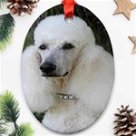 poodle 2 Ornament (Oval)