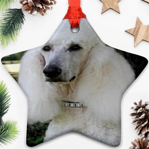 poodle 2 Ornament (Star) from UrbanLoad.com Front