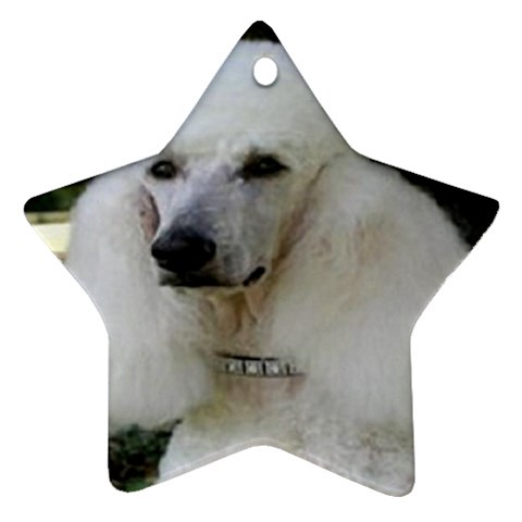 poodle 2 Ornament (Star) from UrbanLoad.com Front