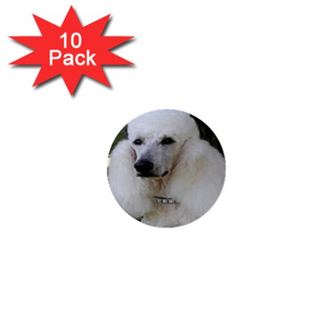 poodle 2 1  Mini Button (10 pack)  from UrbanLoad.com Front