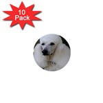 poodle 2 1  Mini Button (10 pack) 