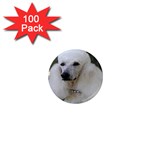 poodle 2 1  Mini Magnet (100 pack) 