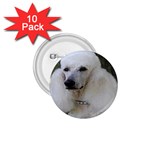 poodle 2 1.75  Button (10 pack) 