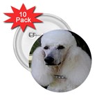 poodle 2 2.25  Button (10 pack)