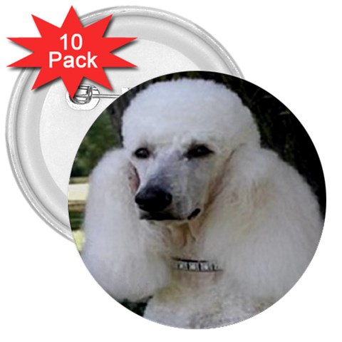 poodle 2 3  Button (10 pack) from UrbanLoad.com Front