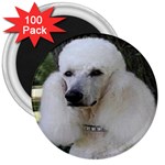 poodle 2 3  Magnet (100 pack)