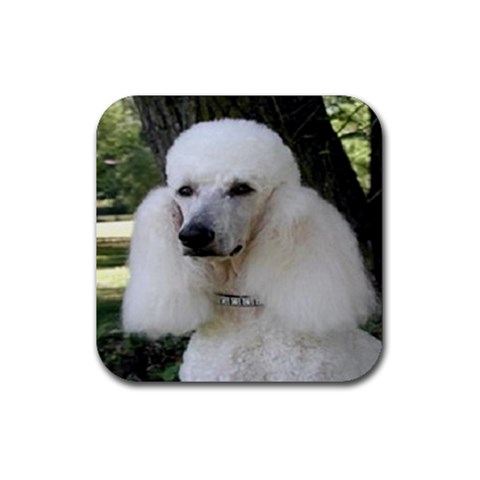 poodle 2 Rubber Coaster (Square) from UrbanLoad.com Front