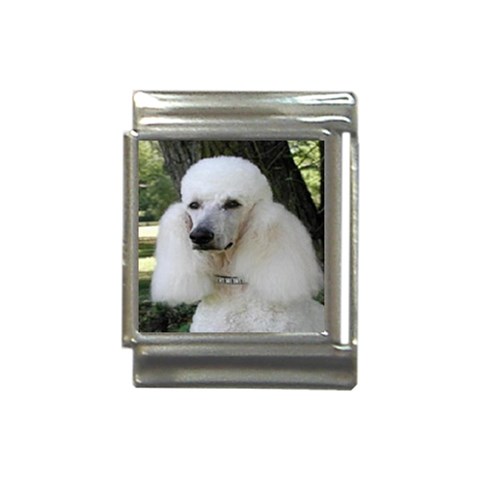 poodle 2 Italian Charm (13mm) from UrbanLoad.com Front