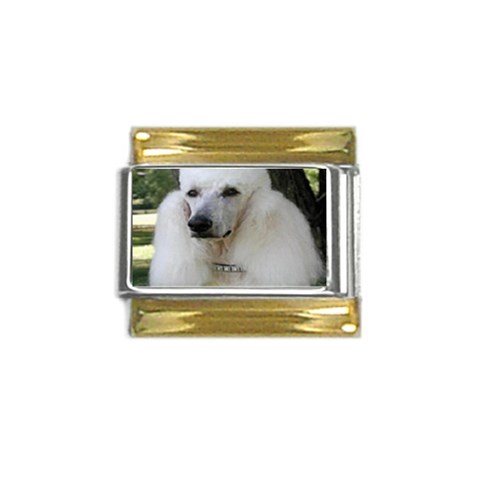 poodle 2 Gold Trim Italian Charm (9mm) from UrbanLoad.com Front