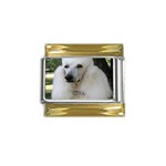 poodle 2 Gold Trim Italian Charm (9mm)