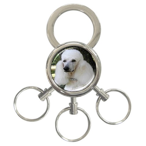 poodle 2 3 Front