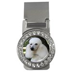 poodle 2 Money Clip (CZ)