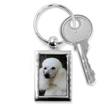 poodle 2 Key Chain (Rectangle)