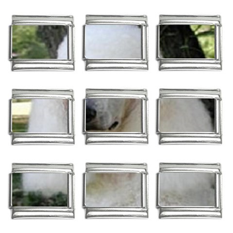 poodle 2 9mm Italian Charm (9 pack) from UrbanLoad.com Front