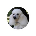 poodle 2 Rubber Coaster (Round)