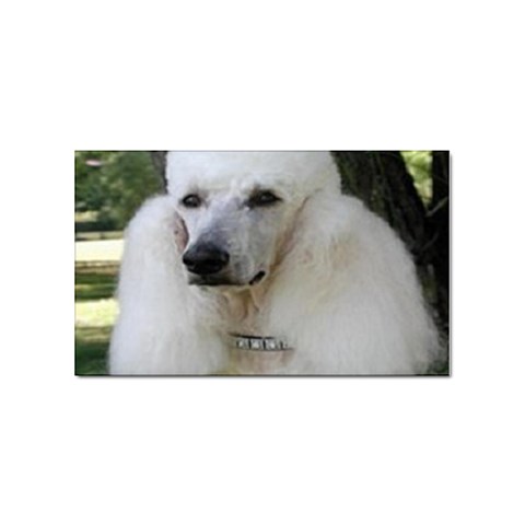 poodle 2 Sticker (Rectangular) from UrbanLoad.com Front