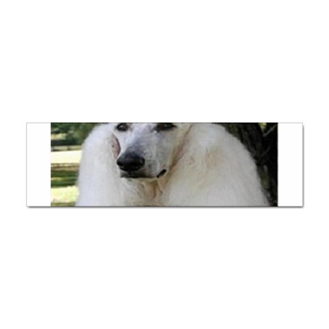 poodle 2 Sticker (Bumper) from UrbanLoad.com Front