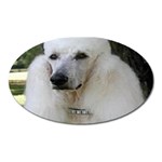 poodle 2 Magnet (Oval)