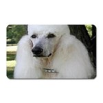 poodle 2 Magnet (Rectangular)