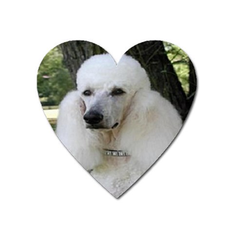 poodle 2 Magnet (Heart) from UrbanLoad.com Front