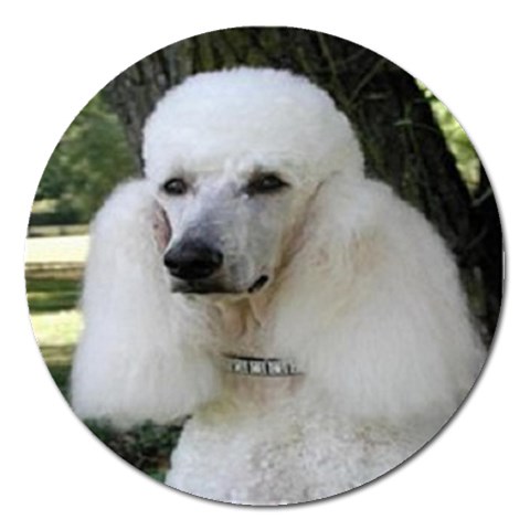 poodle 2 Magnet 5  (Round) from UrbanLoad.com Front