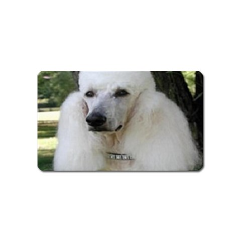 poodle 2 Magnet (Name Card) from UrbanLoad.com Front