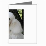 poodle 2 Greeting Card