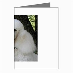 poodle 2 Greeting Cards (Pkg of 8) from UrbanLoad.com Left