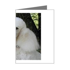 poodle 2 Mini Greeting Card from UrbanLoad.com Left