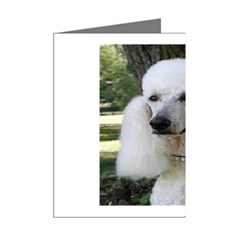 poodle 2 Mini Greeting Cards (Pkg of 8) from UrbanLoad.com Right