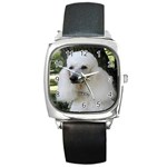 poodle 2 Square Metal Watch