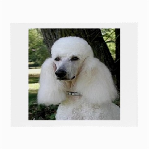 poodle 2 Glasses Cloth (Small) from UrbanLoad.com Front