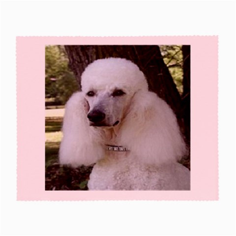 poodle 2 Glasses Cloth (Small) from UrbanLoad.com Front