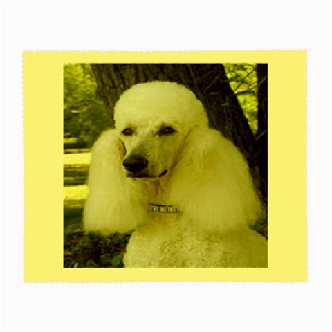 poodle 2 Glasses Cloth (Small) from UrbanLoad.com Front