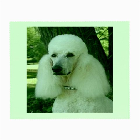 poodle 2 Glasses Cloth (Small) from UrbanLoad.com Front
