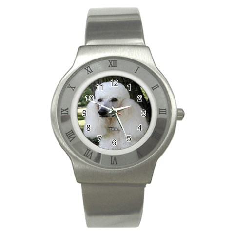 poodle 2 Stainless Steel Watch from UrbanLoad.com Front