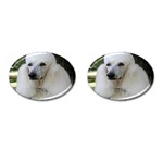 poodle 2 Cufflinks (Oval)