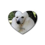 poodle 2 Heart Coaster (4 pack)