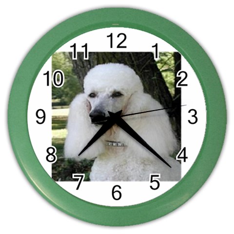 poodle 2 Color Wall Clock from UrbanLoad.com Front