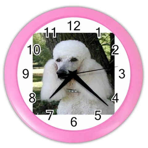 poodle 2 Color Wall Clock from UrbanLoad.com Front