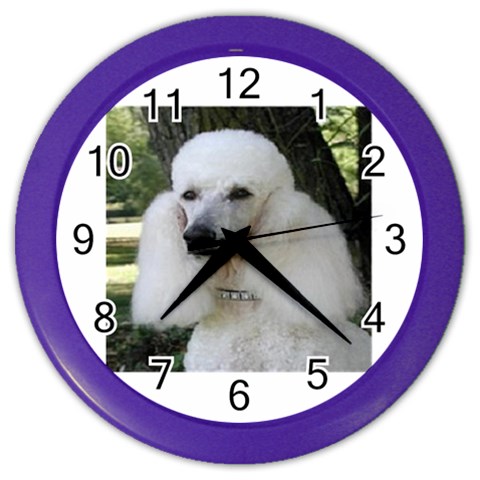 poodle 2 Color Wall Clock from UrbanLoad.com Front
