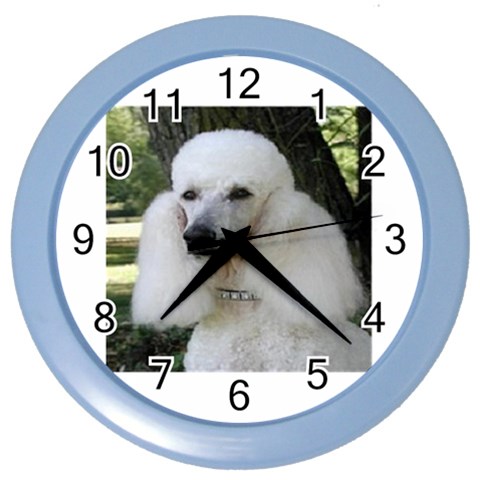 poodle 2 Color Wall Clock from UrbanLoad.com Front