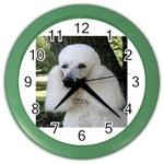 poodle 2 Color Wall Clock