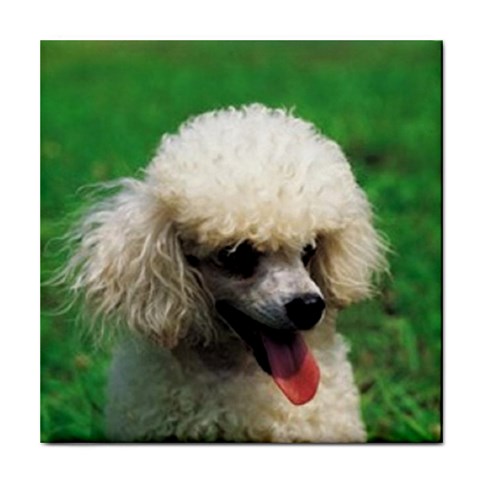 poodle Tile Coaster from UrbanLoad.com Front
