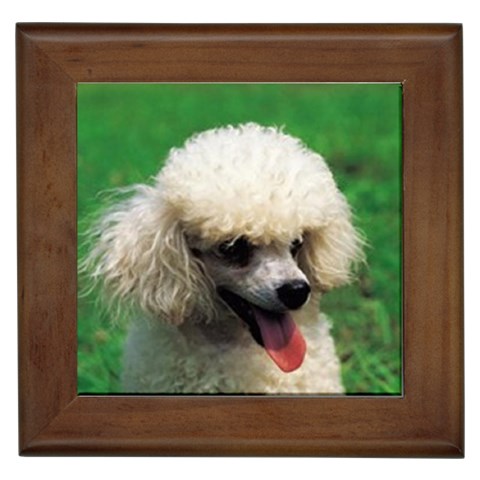 poodle Framed Tile from UrbanLoad.com Front